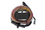 Haltech Elite 750 + Premium Uni Wire-in Harn Kit 2.5m (8') – Bild 2